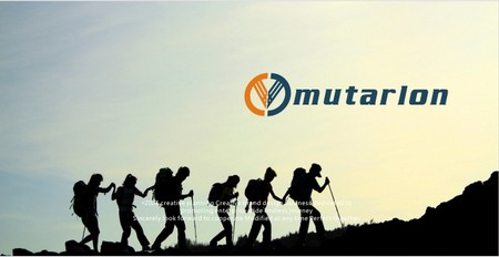 杭州品牌策劃的社交媒體策略