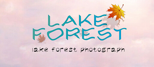 品牌設計公司的品牌整體打造