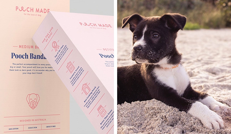 寵物用品包裝設計-寵物食品包裝設計-寵物糧食包裝設計-寵物營養品包裝設計-寵物消毒水包裝設計-杭州專業的寵物用品包裝設計公司