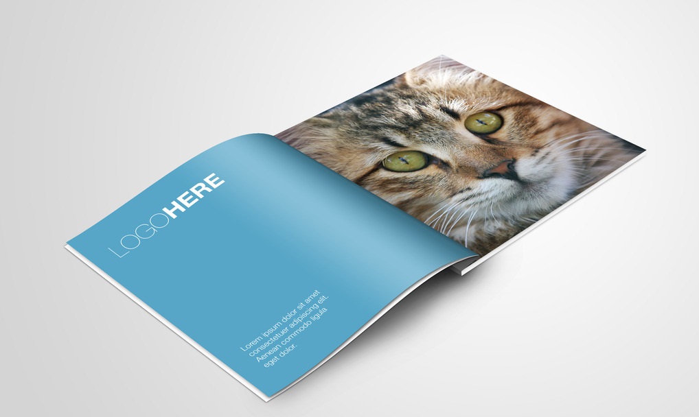 公司畫冊(cè)設(shè)計(jì)的要點(diǎn)