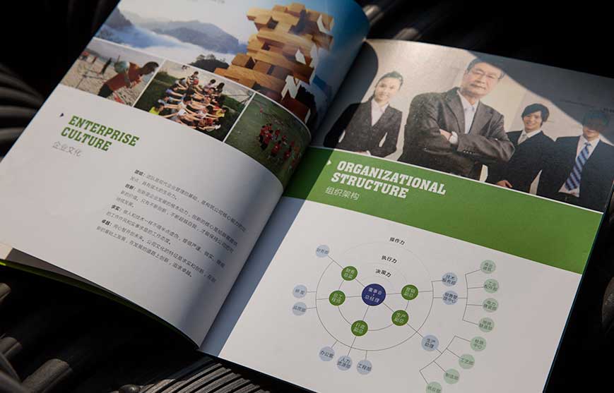 海外營(yíng)銷的難題