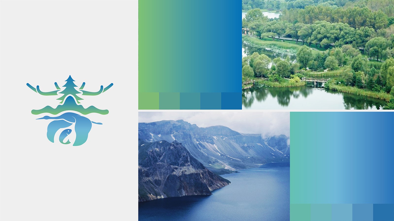 高昂的公司vi設計報價我們應該去堅持嗎？