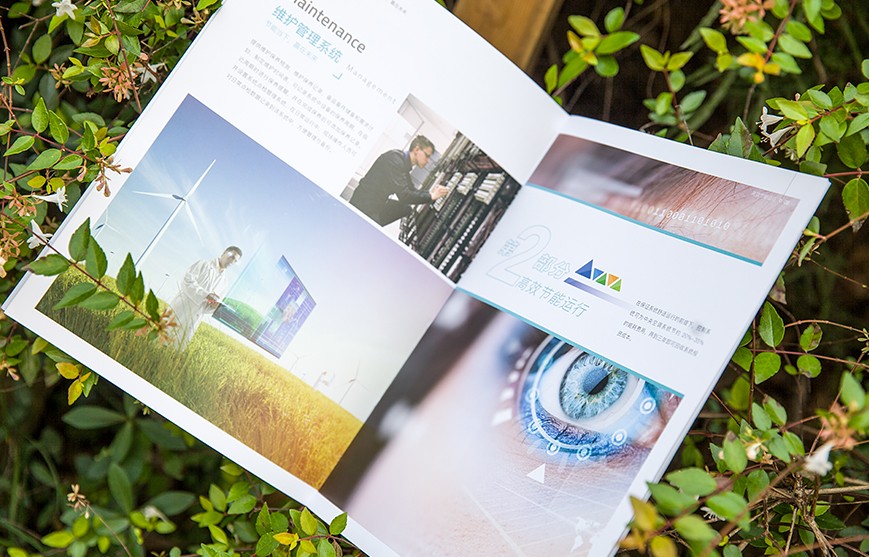 1597646902519329.jpg 3.jpg