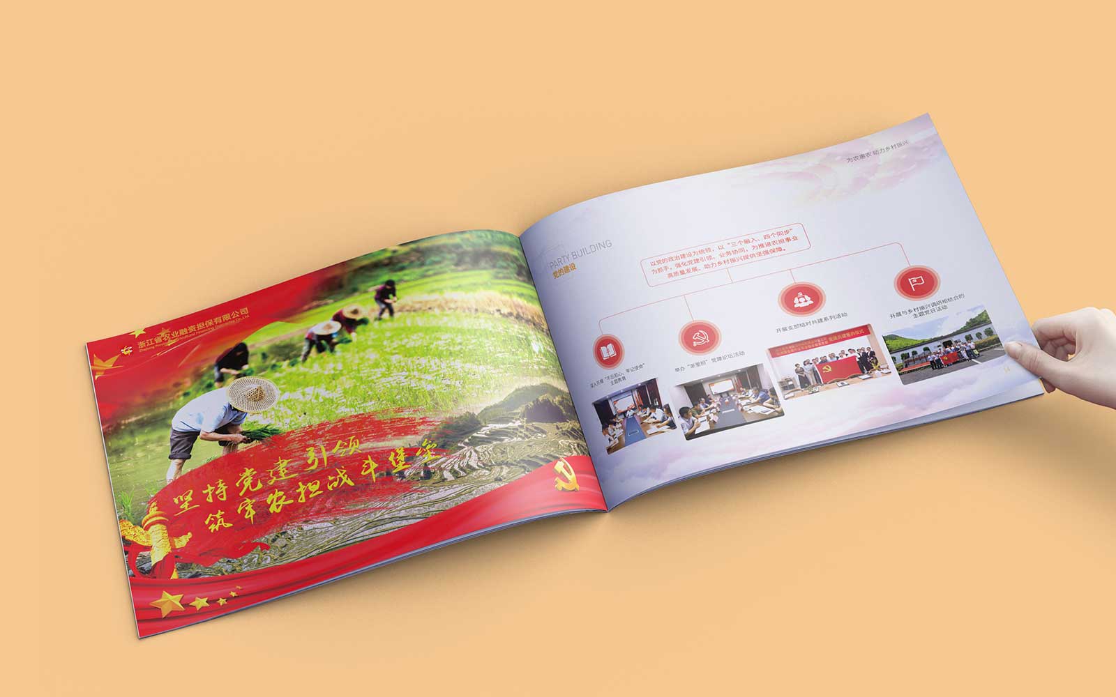 1604900992177064.jpg 8.jpg