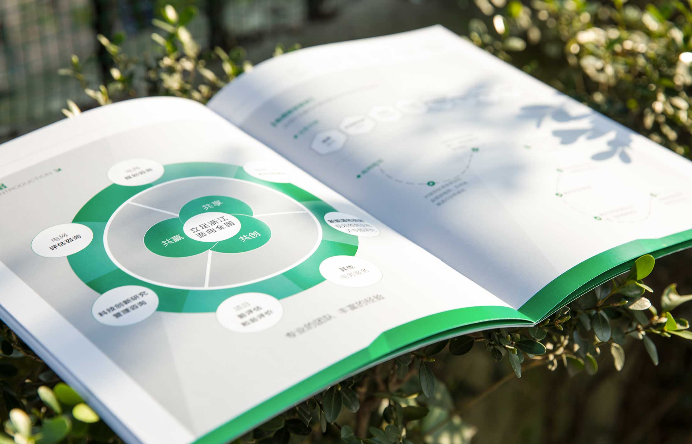 1627721098617247.jpg 33518203.JPG