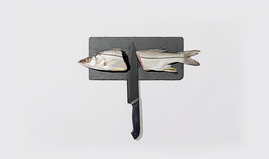 好吃的餐飲食品—創(chuàng)意壽司品牌包裝設(shè)計(jì)