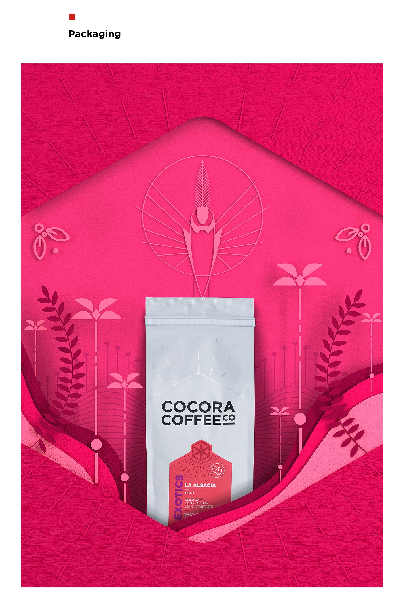 為一個咖啡杯，一個街角咖啡店，做整體的品牌包裝設(shè)計