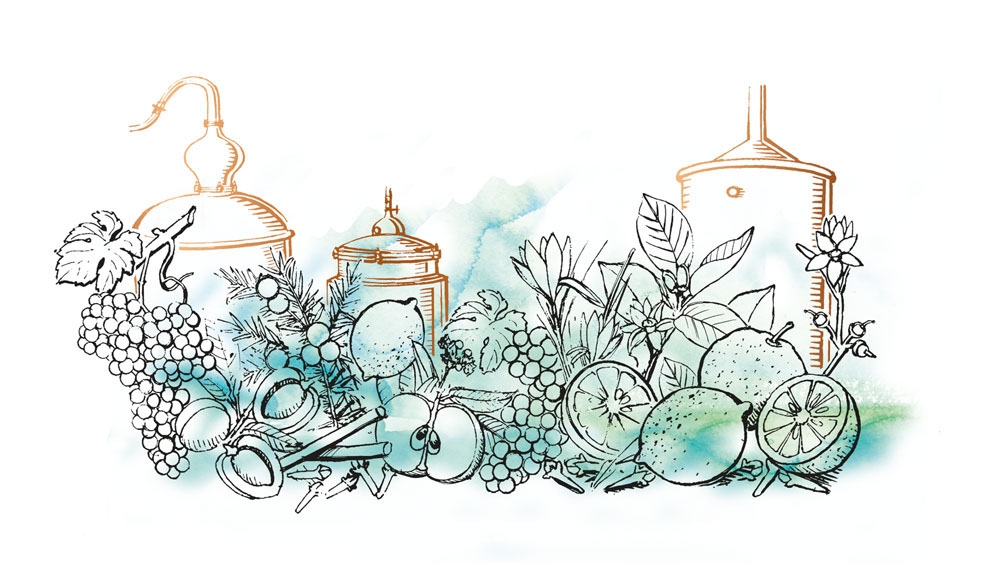 水彩素描式的杜松子酒包裝設計