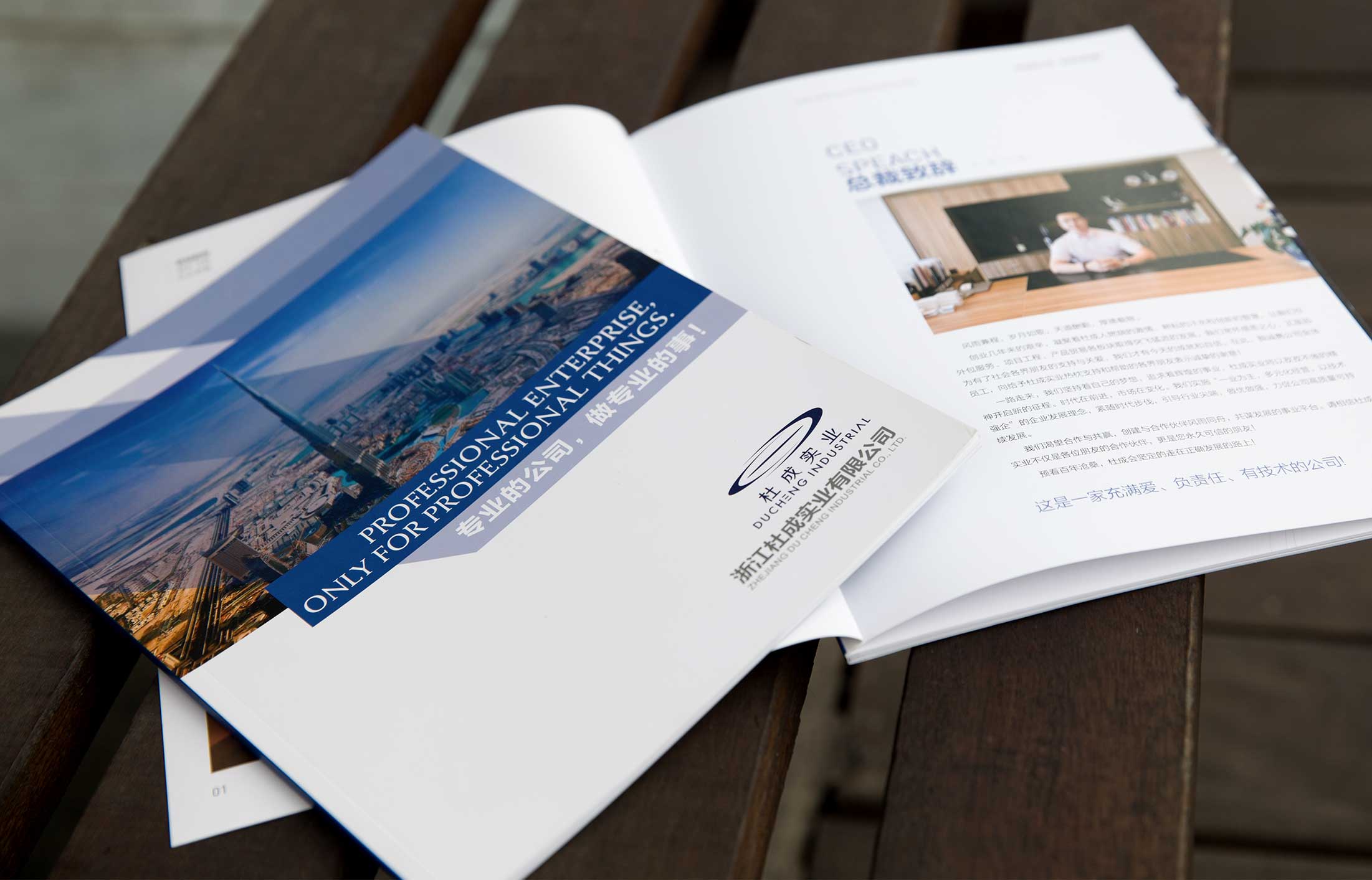 實(shí)業(yè)公司畫冊設(shè)計(jì)